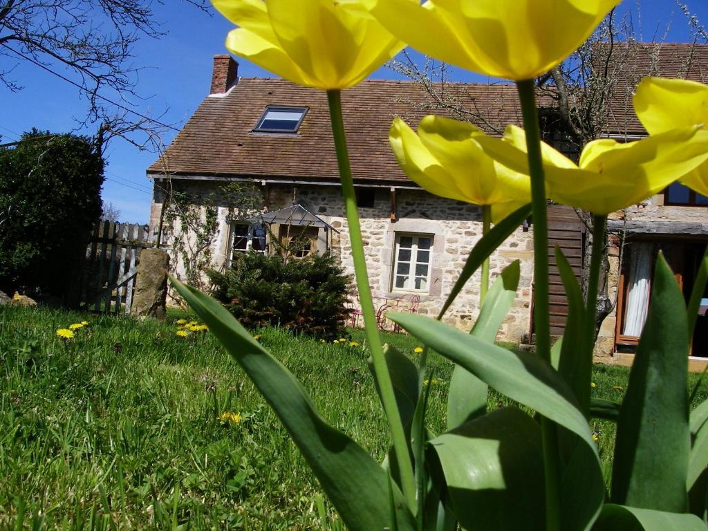 Le Trot'In Chair Bed & Breakfast Martigny-le-Comte ภายนอก รูปภาพ
