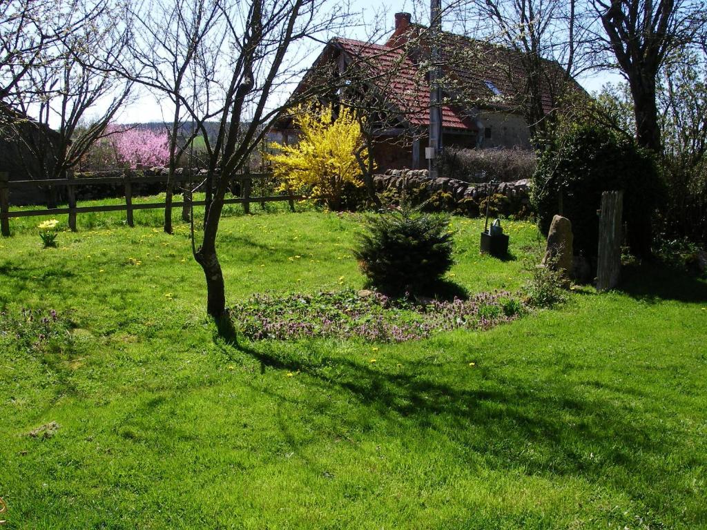 Le Trot'In Chair Bed & Breakfast Martigny-le-Comte ภายนอก รูปภาพ