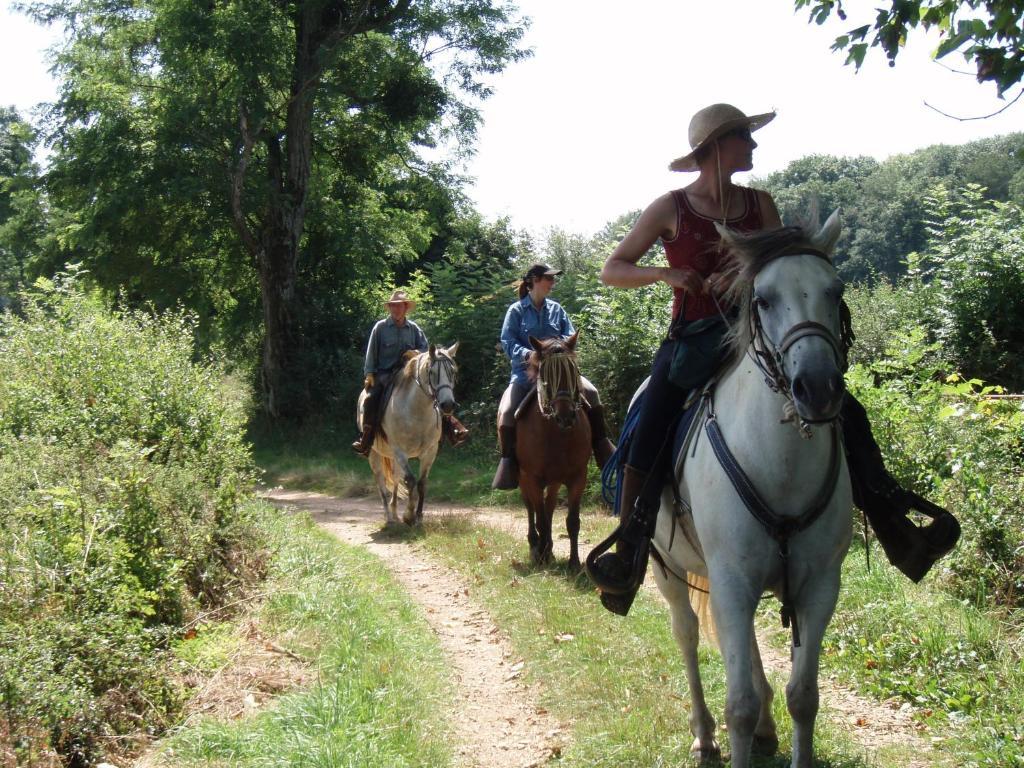 Le Trot'In Chair Bed & Breakfast Martigny-le-Comte ภายนอก รูปภาพ