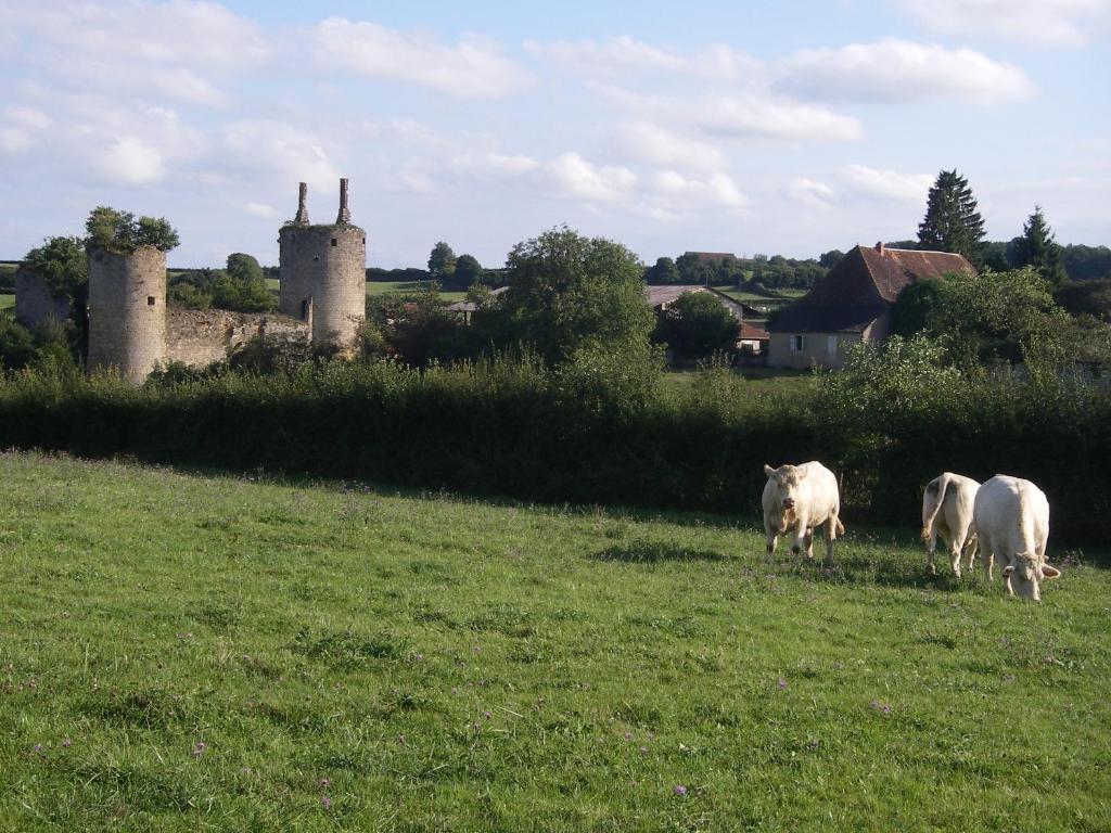 Le Trot'In Chair Bed & Breakfast Martigny-le-Comte ภายนอก รูปภาพ